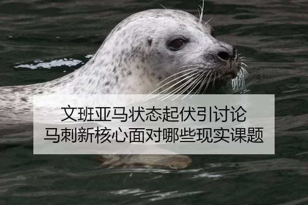 文班亚马状态起伏引讨论 马刺新核心面对哪些现实课题